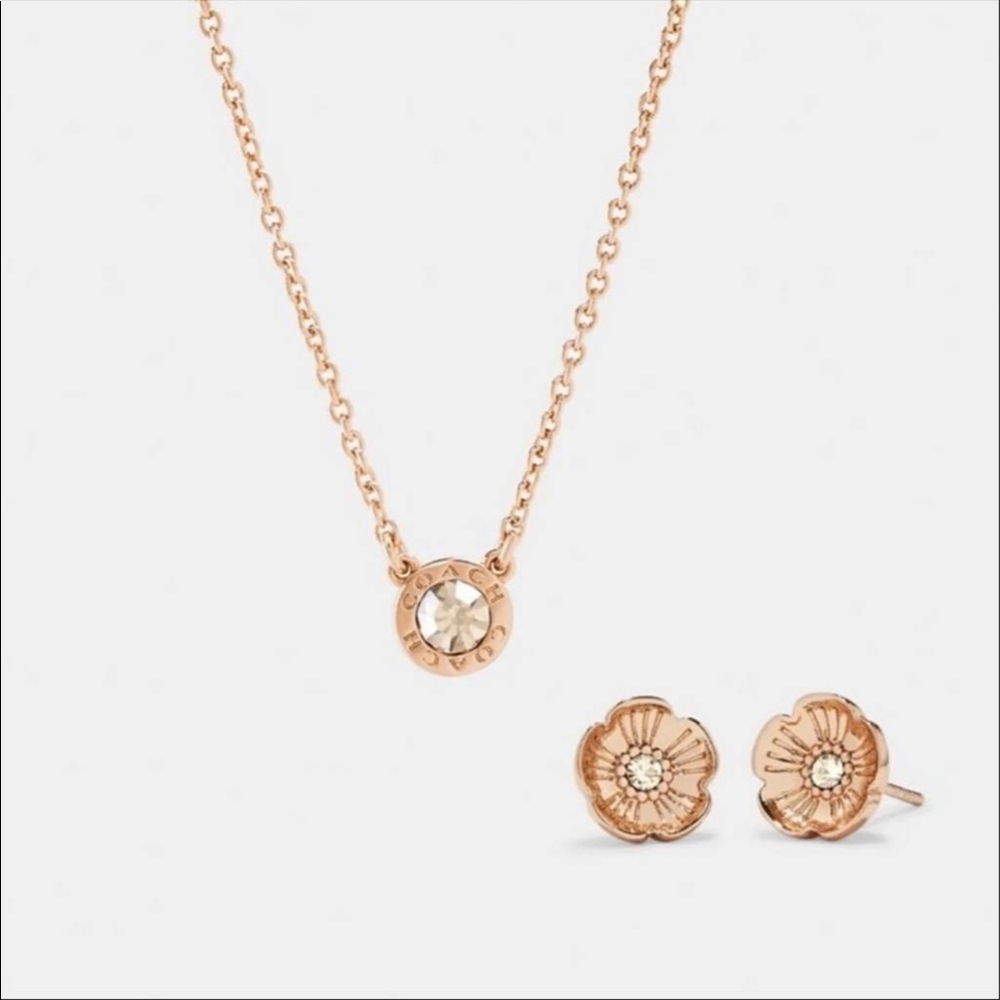 COACH Women's Signature Stone Tea Necklace and Earrings Set